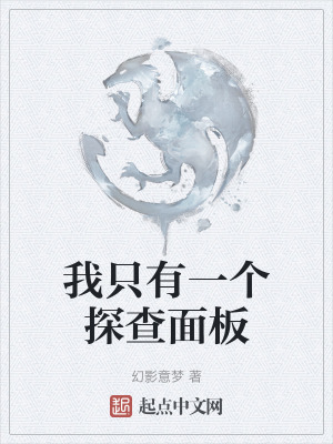 我隻有一個探查麵板 我隻有一個探查麵板