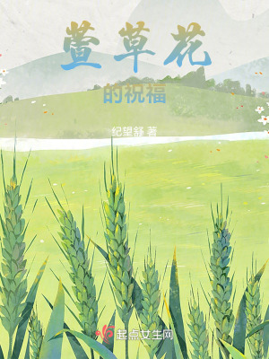 萱草花的祝福 萱草花的祝福