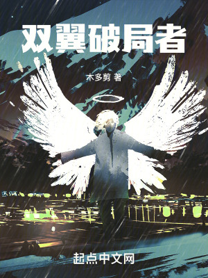 雙翼破局者