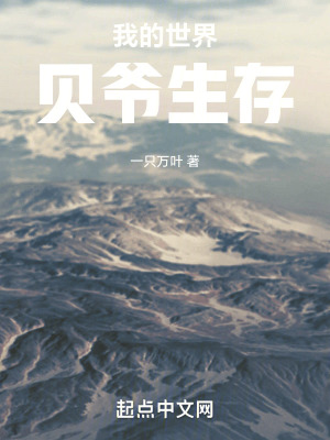 我的世界：貝爺生存