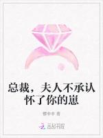 總裁,夫人不承認懷了你的崽 總裁,夫人不承認懷了你的崽