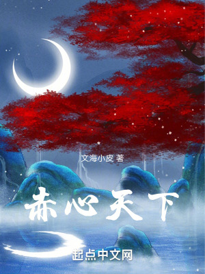 赤心天下 赤心天下