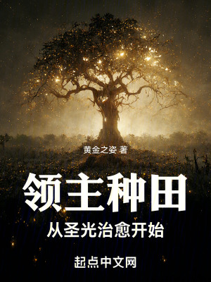 領主:種田從聖光治愈開始 領主:種田從聖光治愈開始