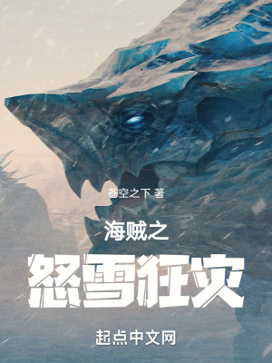 海賊之怒雪狂災 海賊之怒雪狂災