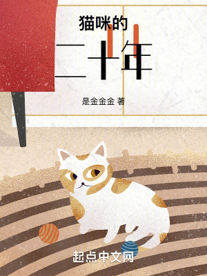 貓咪的二十年