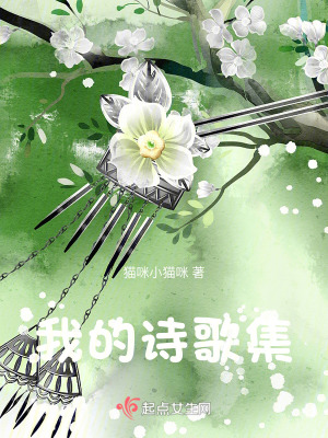 我的詩歌集 我的詩歌集