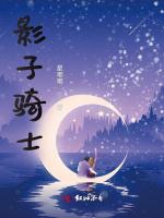 影子騎士 影子騎士