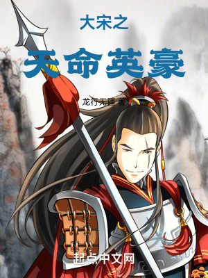 大宋之天命英豪