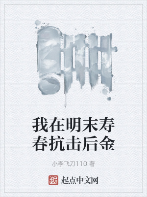 我在明末壽春抗擊後金 我在明末壽春抗擊後金