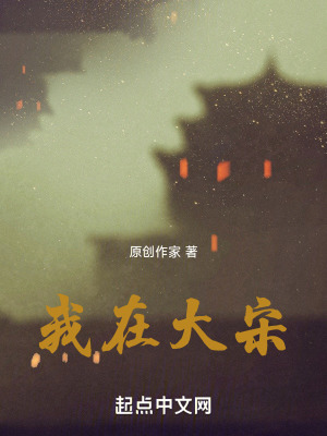 我在大宋 我在大宋