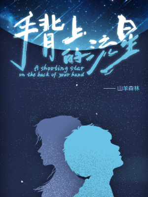 手背上的流星 手背上的流星