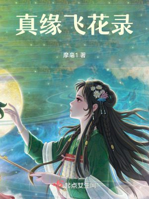 真緣飛花錄 真緣飛花錄