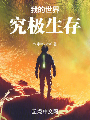 我的世界究極生存