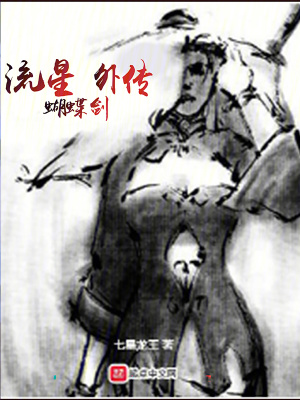 流星蝴蝶劍外傳