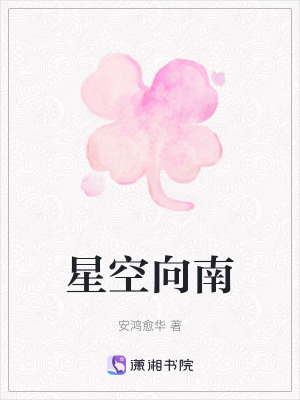 星空向南