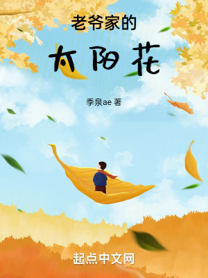 老爺家的太陽花