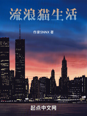 流浪貓生活