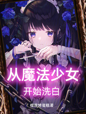 從魔法少女開始洗白 從魔法少女開始洗白