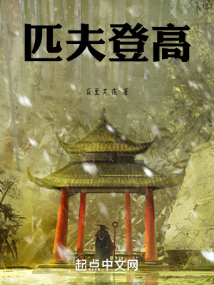 匹夫登高 匹夫登高