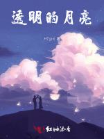 透明的月亮 透明的月亮