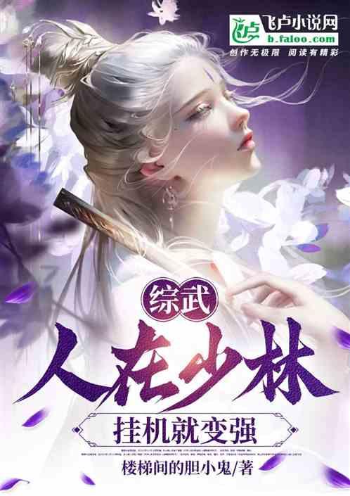 綜武,人在少林寺,掛機就變強 綜武,人在少林寺,掛機就變強