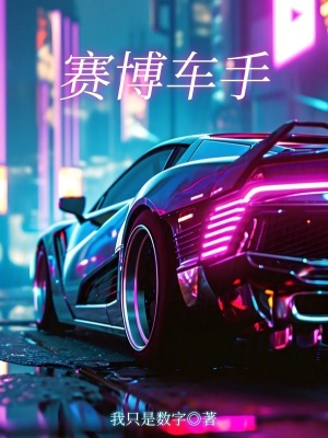 賽博車手 賽博車手