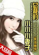 總裁的小小小妻子【完結】