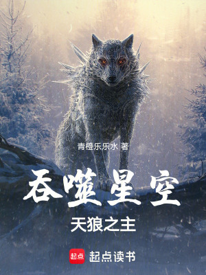 吞噬星空：天狼之主