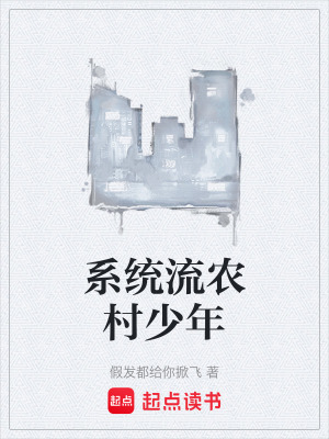係統流農村少年