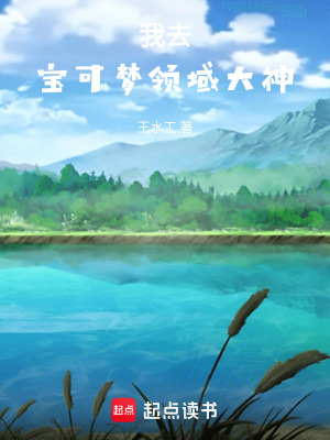 我去，寶可夢領域大神