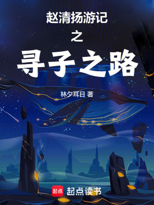 趙清揚遊記之尋子之路