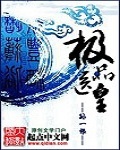 極品醫皇