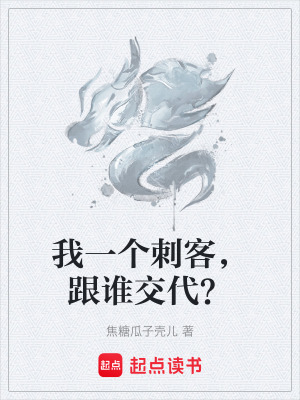 我一個刺客，跟誰交代？
