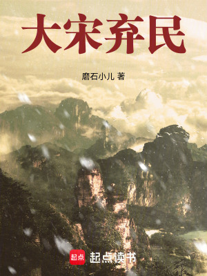 大宋棄民