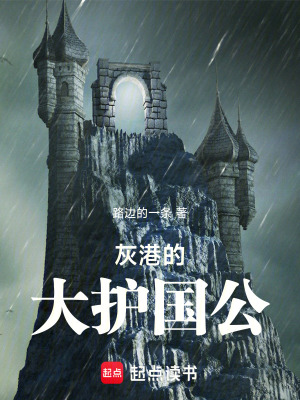 灰港的大護國公