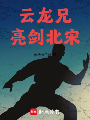 雲龍兄亮劍北宋