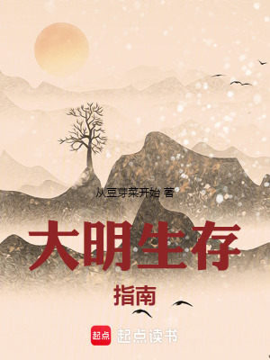 大明生存指南