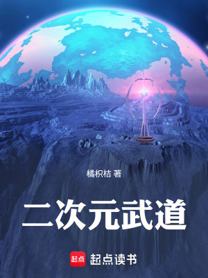 二次元武道