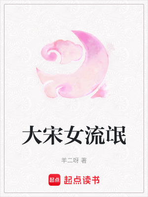 大宋女流氓
