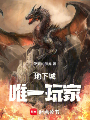 地下城唯一玩家