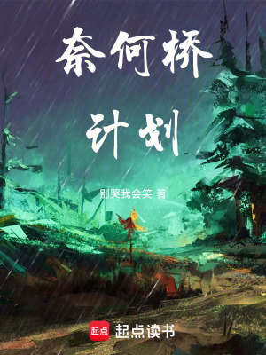 奈何橋計劃