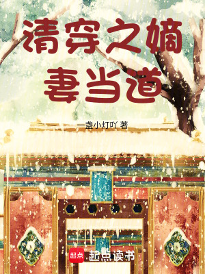 清穿之嫡妻當道