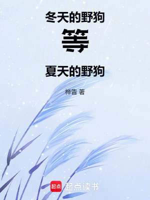 冬天的野狗等夏天的野狗