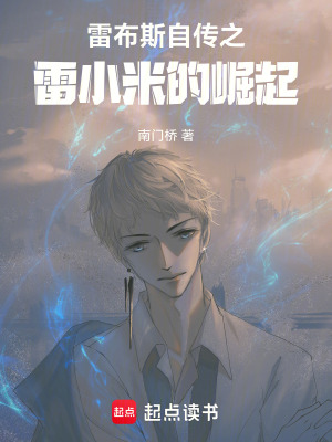 雷布斯自傳之雷小米的崛起