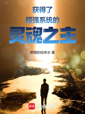 獲得了超強係統的靈魂之主