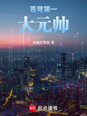 蒼穹第一大元帥