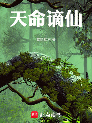 天命謫仙