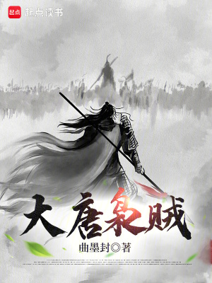 大唐梟賊