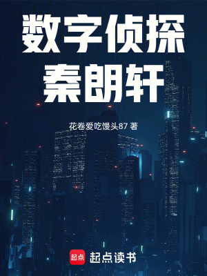 數字偵探秦朗軒