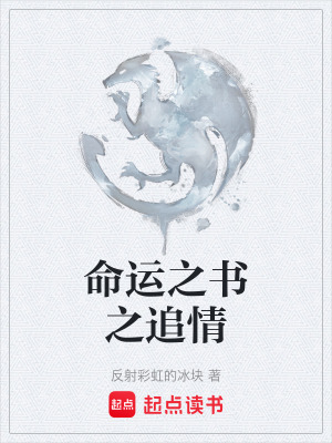 命運之書之追情
